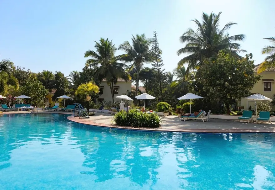 A pool surrounded by palm trees and parasols