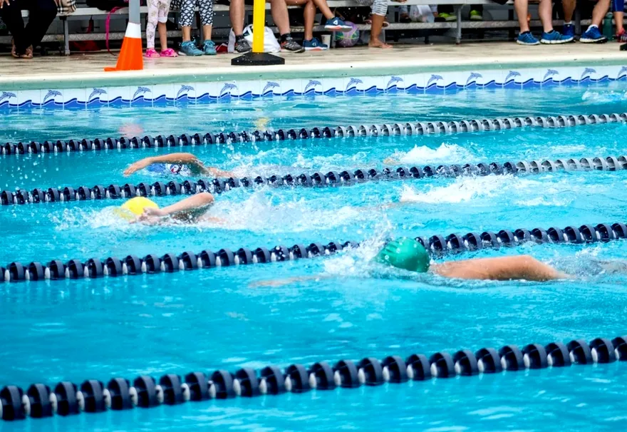 Swimmers racing freestyle in separate lanes